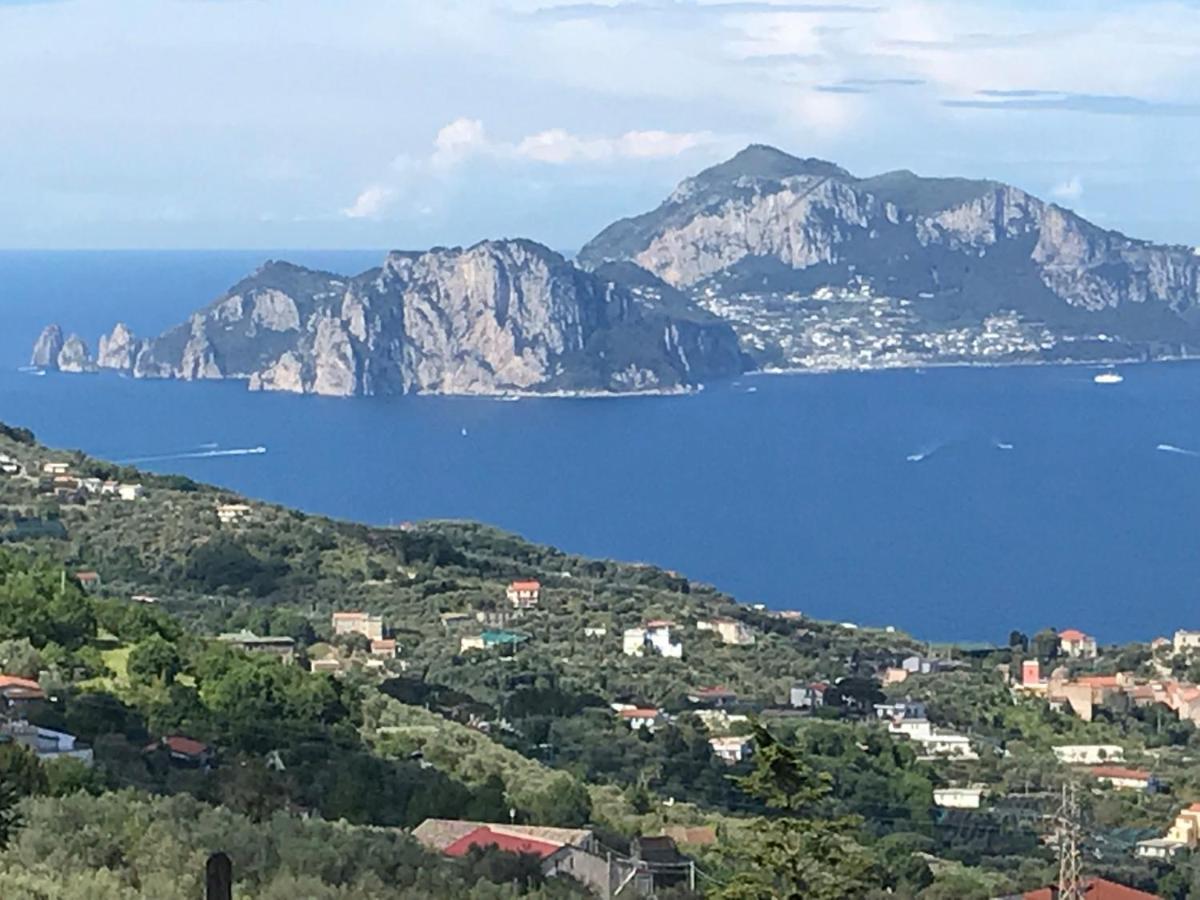 Resort Ferrara Villa Multa Quies Massa Lubrense Εξωτερικό φωτογραφία