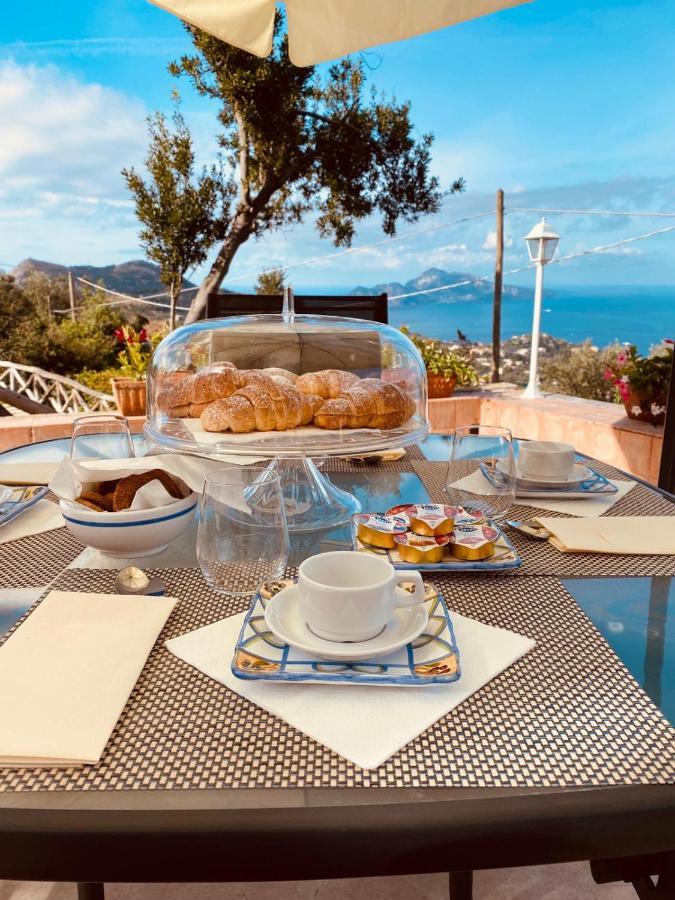 Resort Ferrara Villa Multa Quies Massa Lubrense Εξωτερικό φωτογραφία